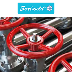 Sealweld Virtual Valve Training - Valve 101