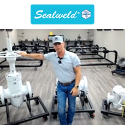 Sealweld Introduction to Virtual Valve Training